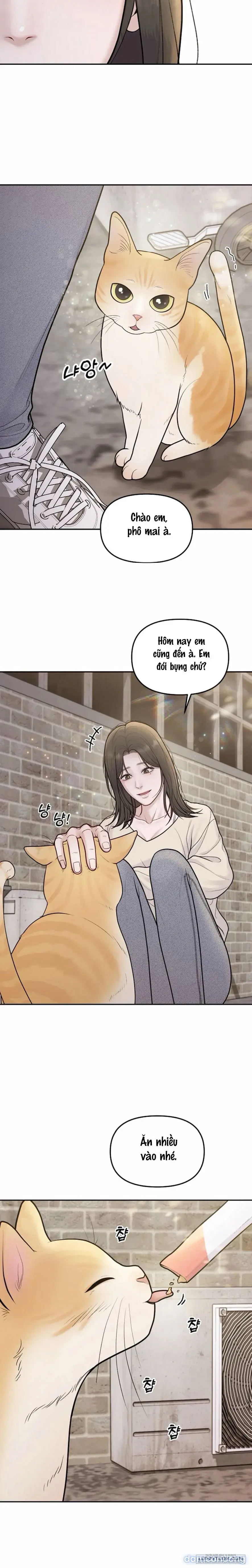 Mang Thai và chiếm đoạt 