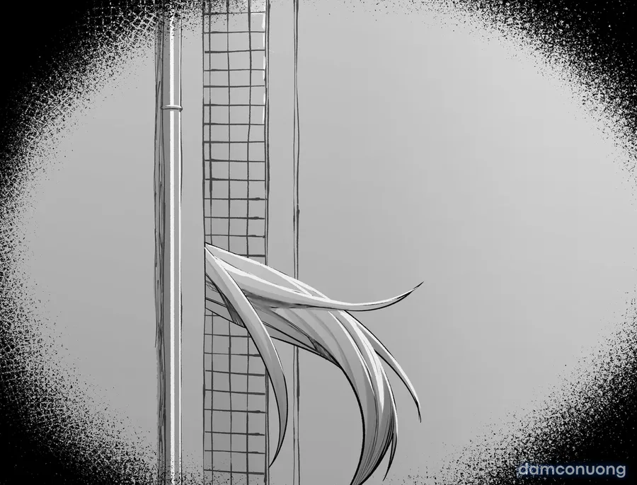 Series kuroko và sensei của tác giả hex d 