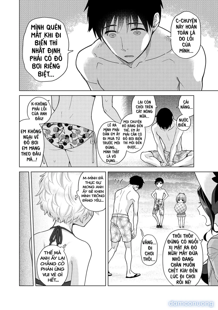 Cô bé mèo hoang [ノラネコ少女との暮らしかた] 