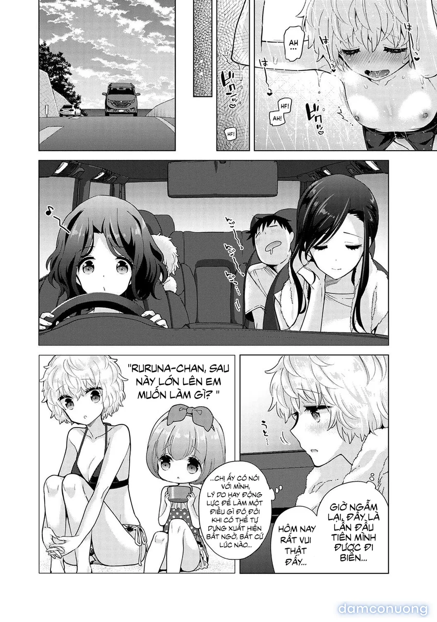 Cô bé mèo hoang [ノラネコ少女との暮らしかた] 