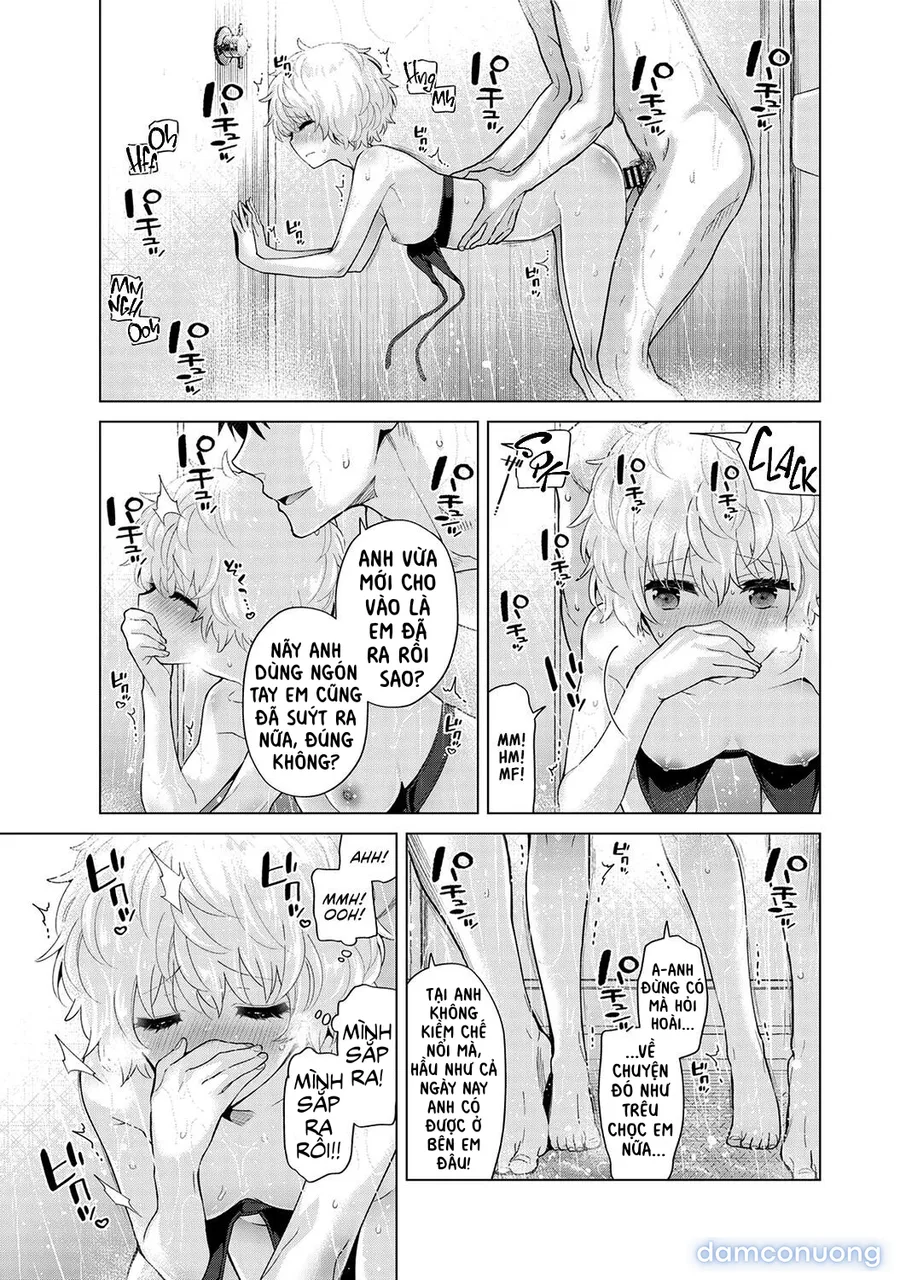 Cô bé mèo hoang [ノラネコ少女との暮らしかた] 