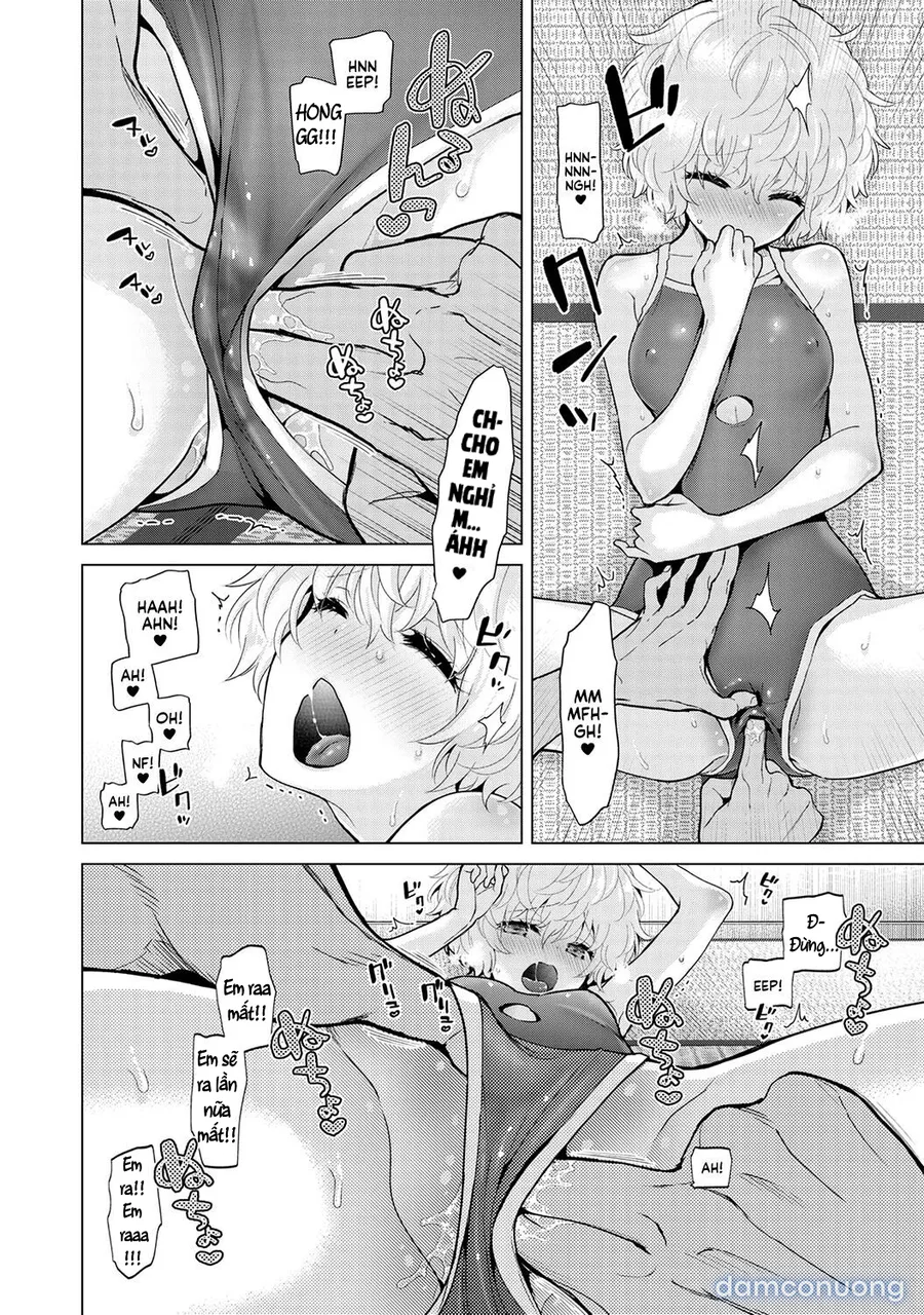 Cô bé mèo hoang [ノラネコ少女との暮らしかた] 