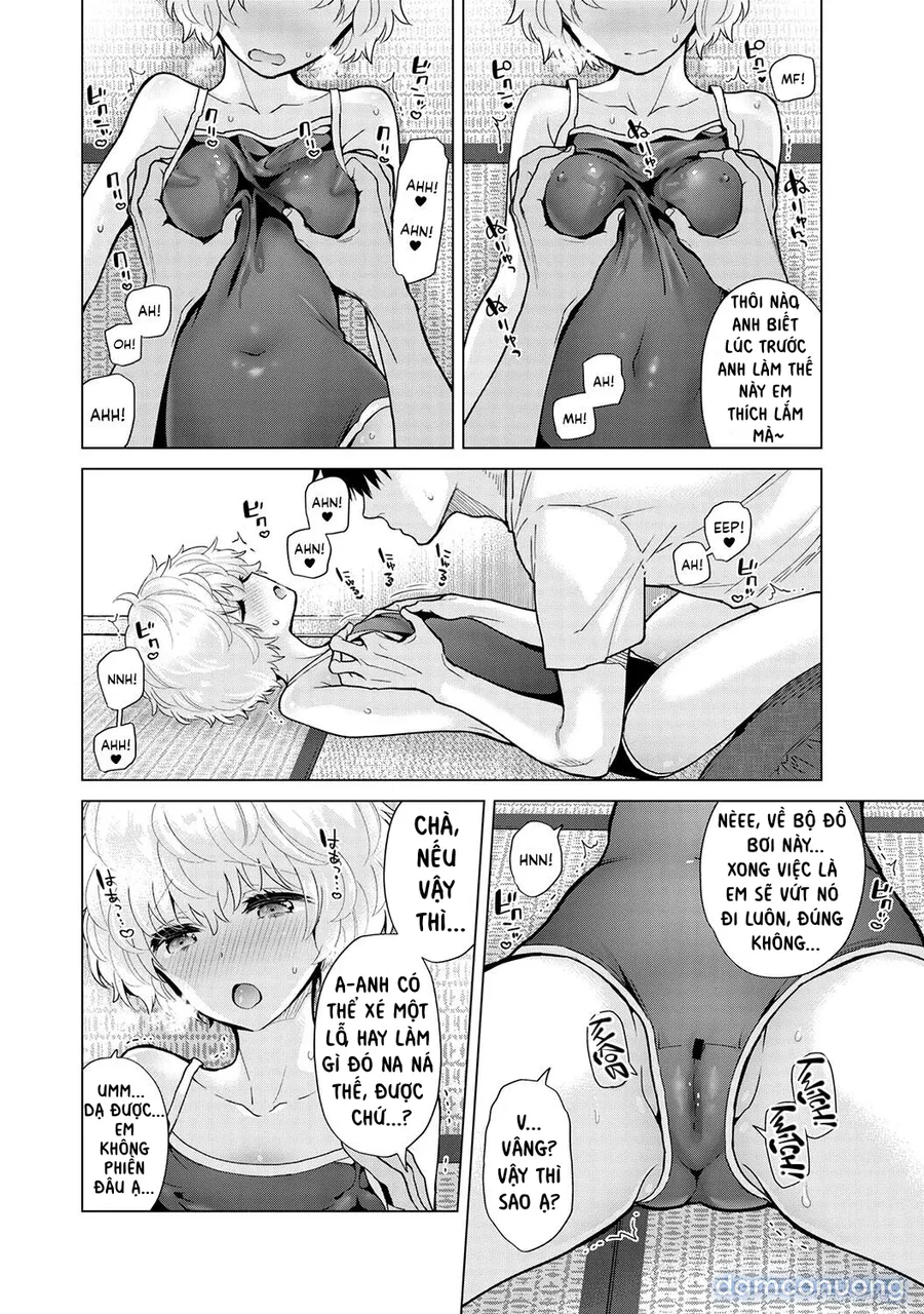Cô bé mèo hoang [ノラネコ少女との暮らしかた] 