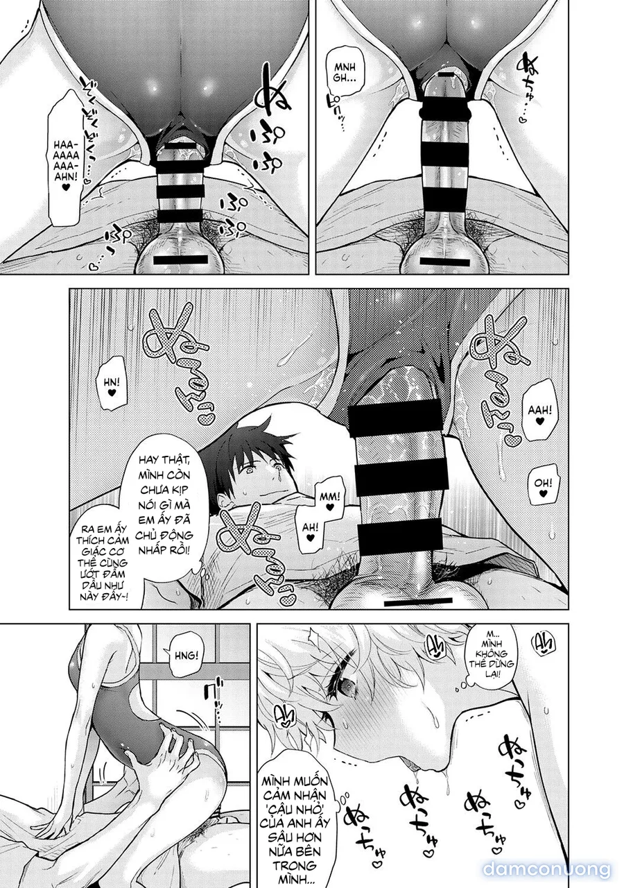 Cô bé mèo hoang [ノラネコ少女との暮らしかた] 