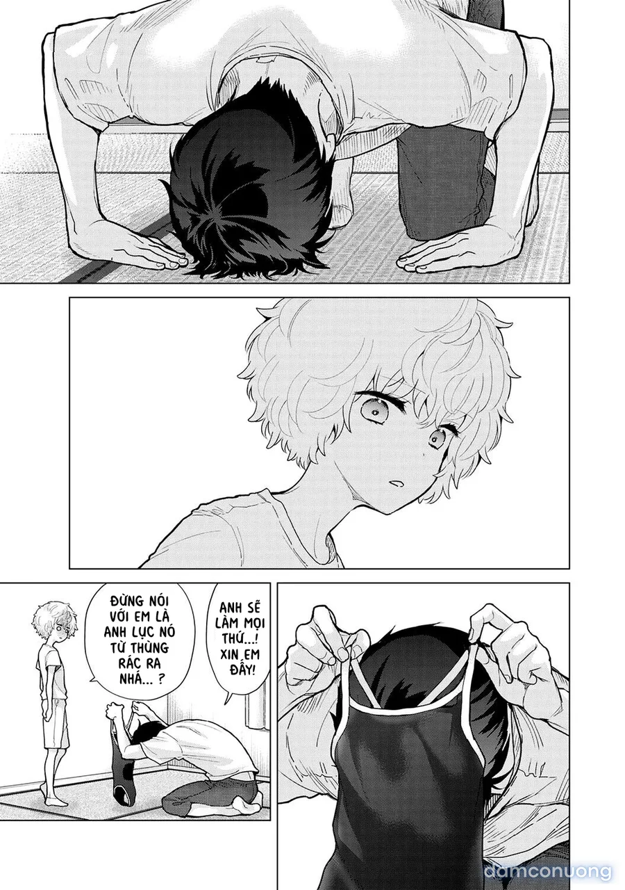 Cô bé mèo hoang [ノラネコ少女との暮らしかた] 