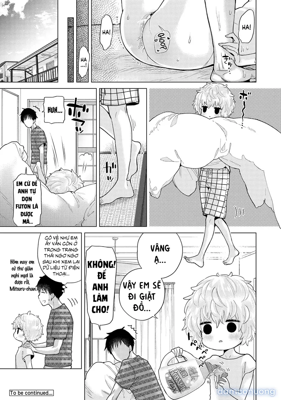 Cô bé mèo hoang [ノラネコ少女との暮らしかた] 