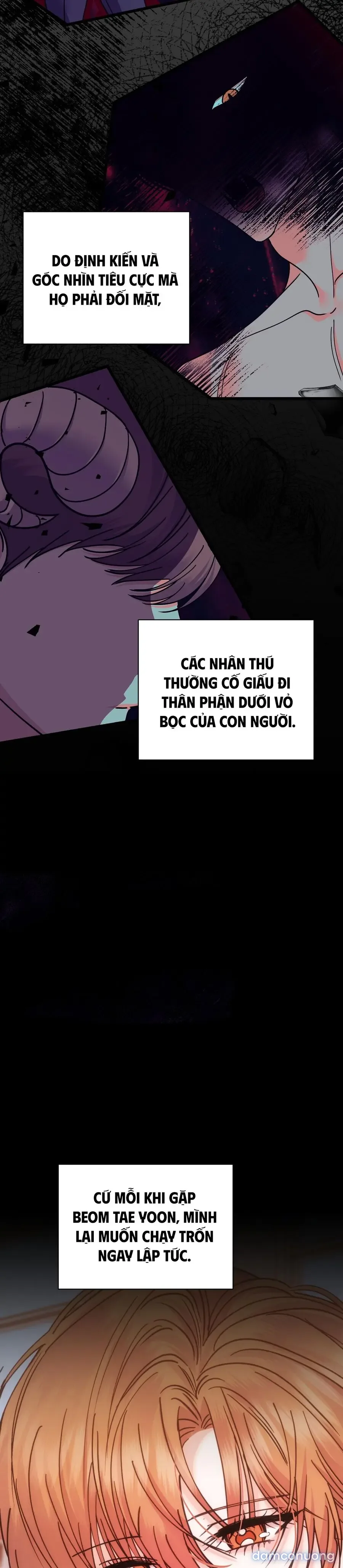 Thỏ Thì Không Cắn Đâu 
