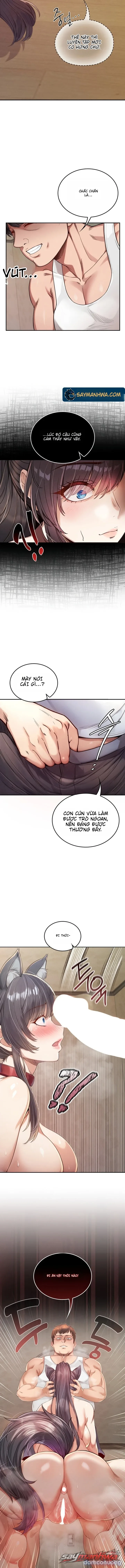 Thú Cưng Nửa Người Nửa Thú 