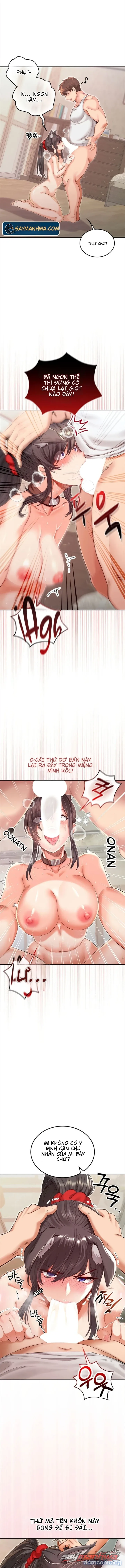 Thú Cưng Nửa Người Nửa Thú 