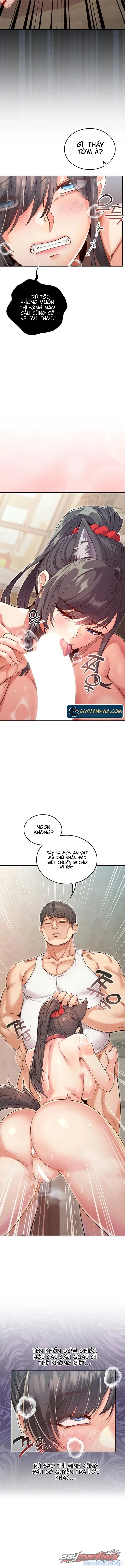 Thú Cưng Nửa Người Nửa Thú 