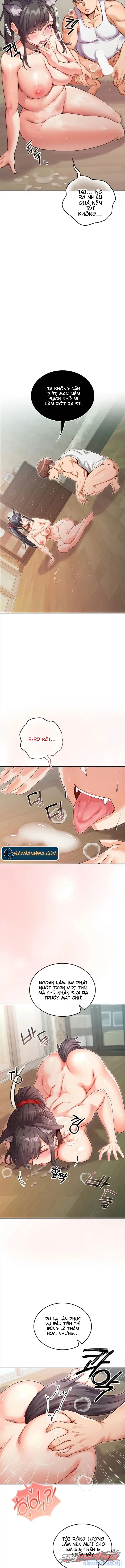 Thú Cưng Nửa Người Nửa Thú 