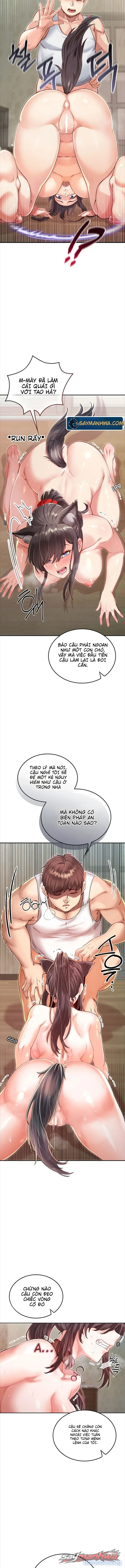 Thú Cưng Nửa Người Nửa Thú 