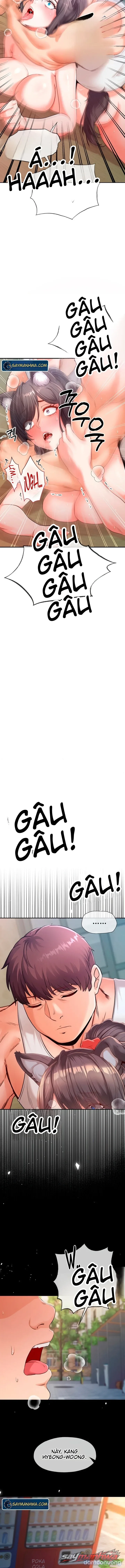 Thú Cưng Nửa Người Nửa Thú 