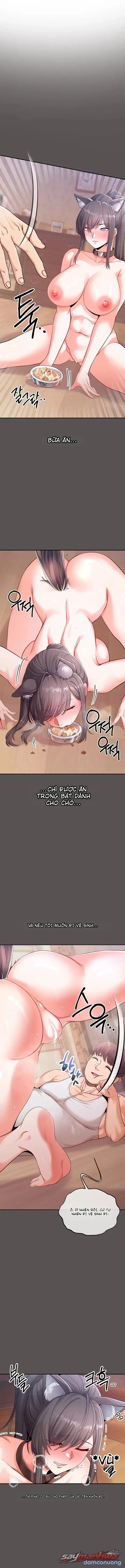 Thú Cưng Nửa Người Nửa Thú 