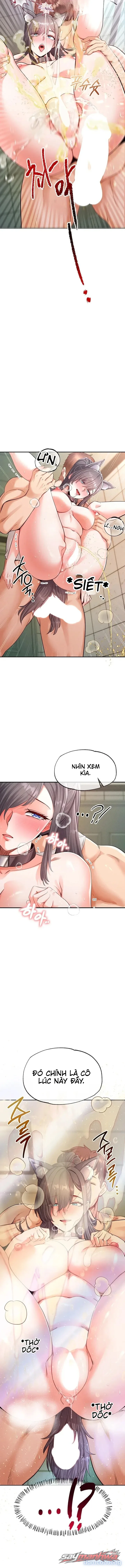 Thú Cưng Nửa Người Nửa Thú 