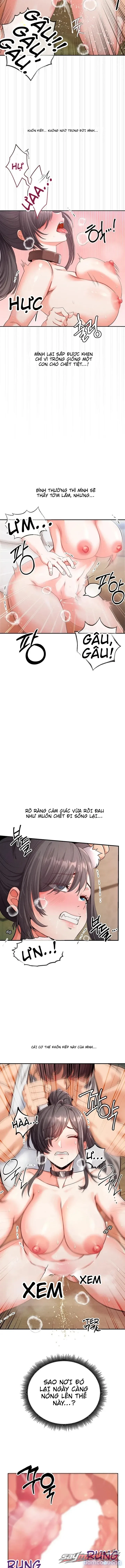 Thú Cưng Nửa Người Nửa Thú 