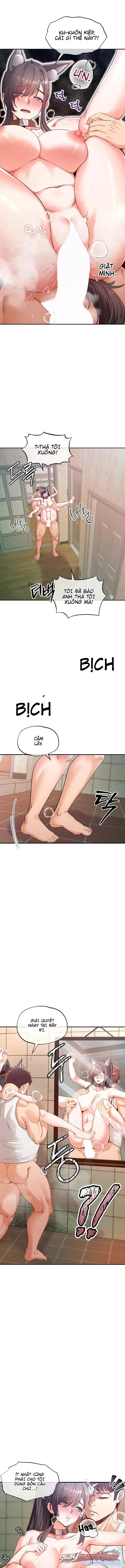 Thú Cưng Nửa Người Nửa Thú 