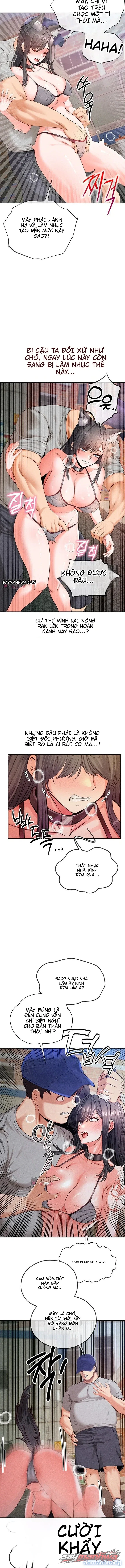 Thú Cưng Nửa Người Nửa Thú 