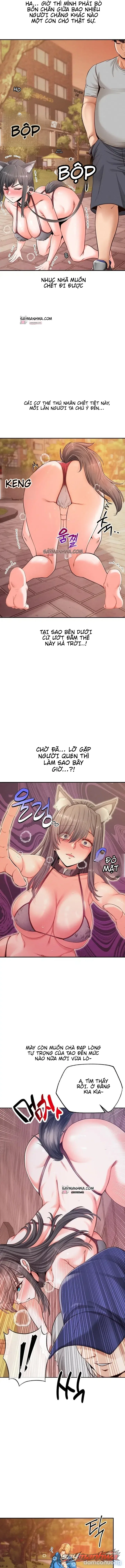 Thú Cưng Nửa Người Nửa Thú 