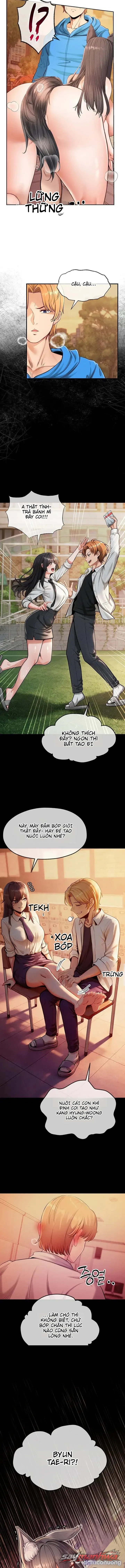 Thú Cưng Nửa Người Nửa Thú 