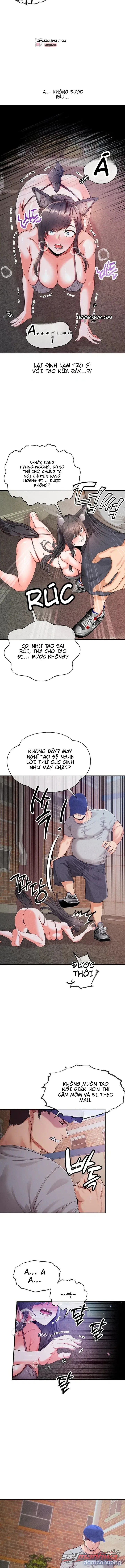 Thú Cưng Nửa Người Nửa Thú 