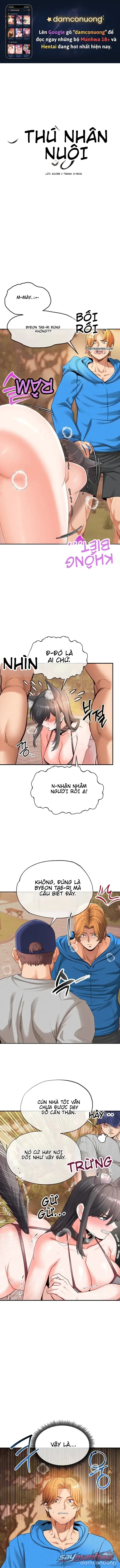 Thú Cưng Nửa Người Nửa Thú 