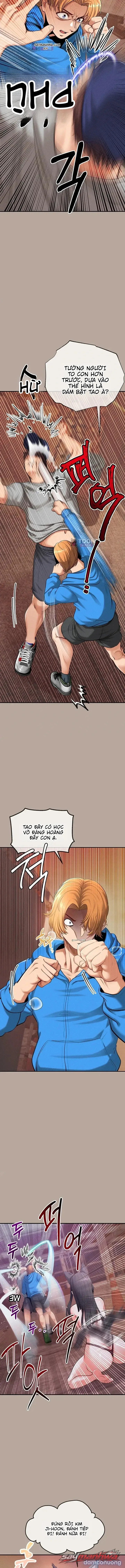 Thú Cưng Nửa Người Nửa Thú 