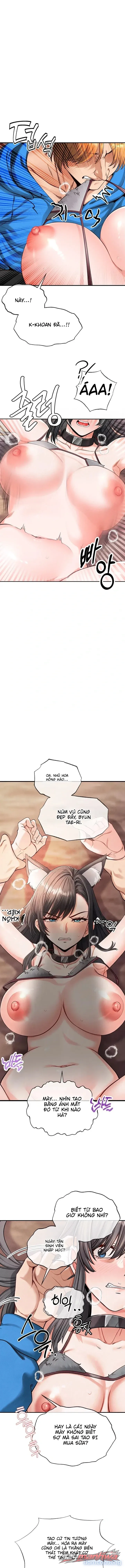 Thú Cưng Nửa Người Nửa Thú 