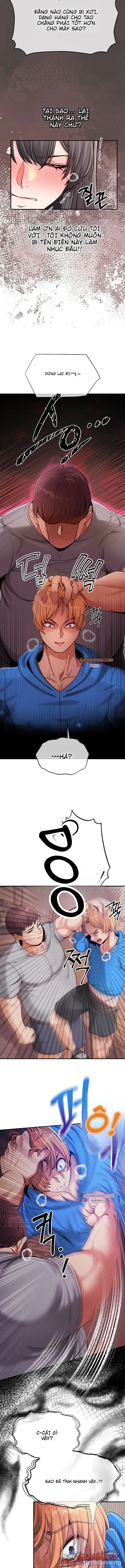 Thú Cưng Nửa Người Nửa Thú 