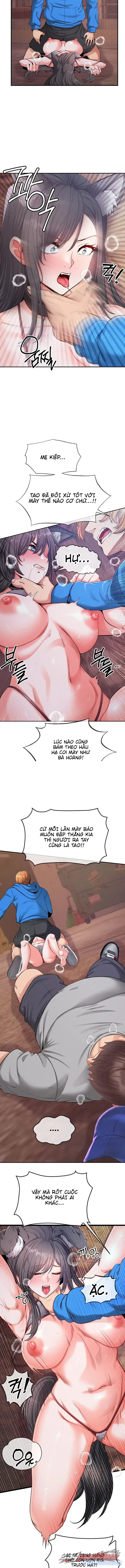 Thú Cưng Nửa Người Nửa Thú 