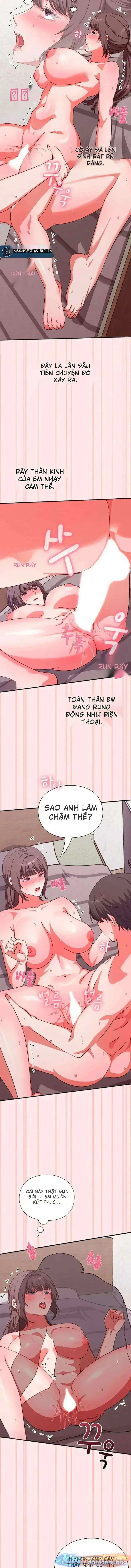 Nhịp đập trái tim 