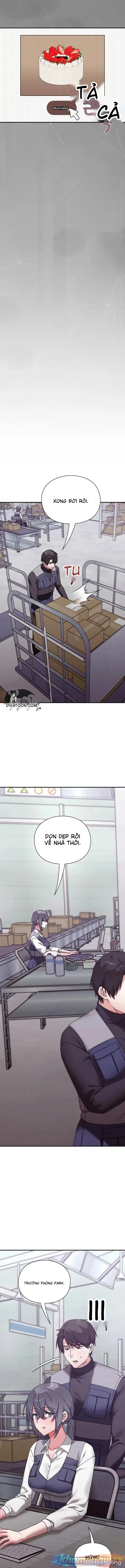 Nhịp đập trái tim 