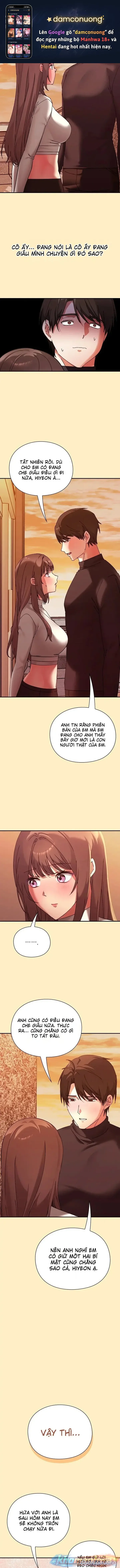 Nhịp đập trái tim 