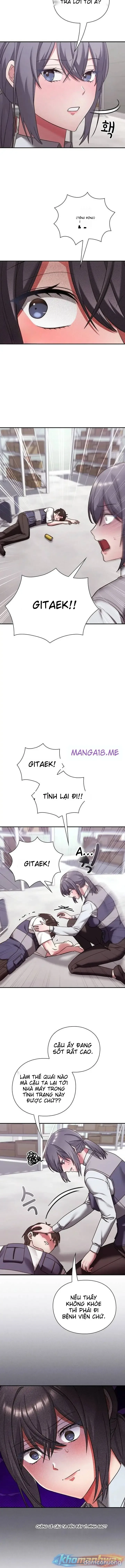Nhịp đập trái tim 