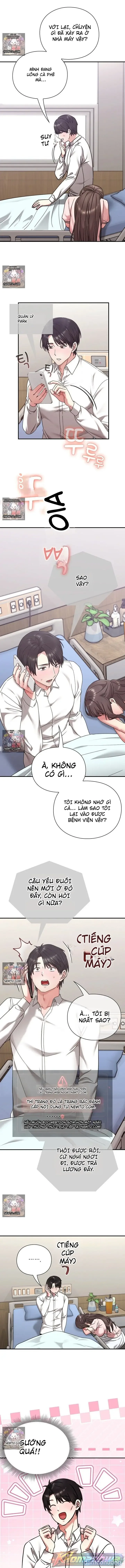 Nhịp đập trái tim 