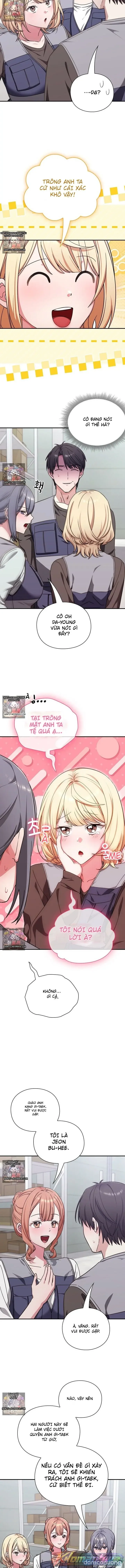 Nhịp đập trái tim 