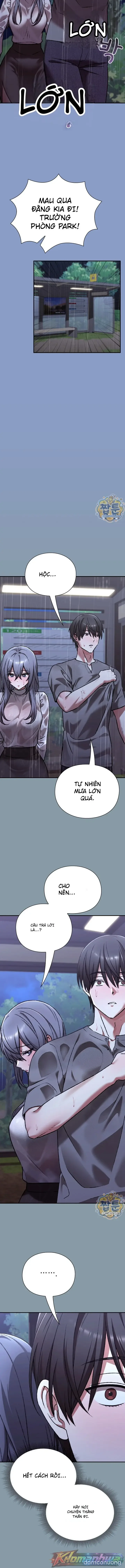 Nhịp đập trái tim 