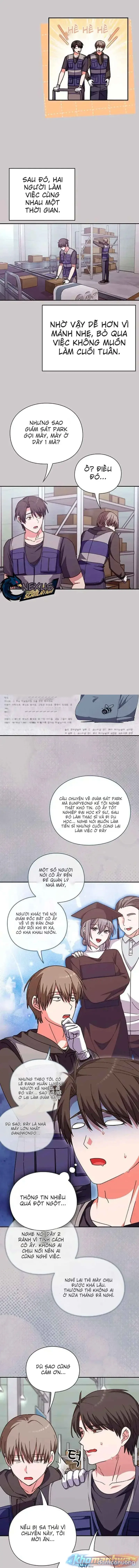 Nhịp đập trái tim 