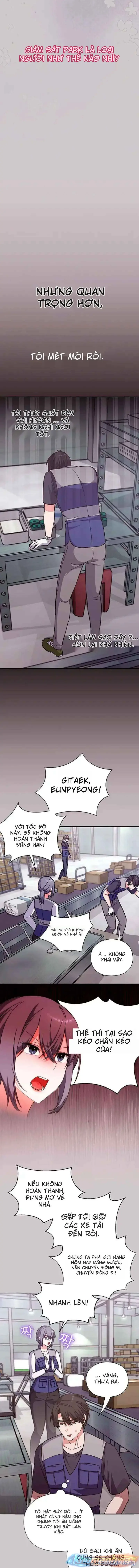 Nhịp đập trái tim 