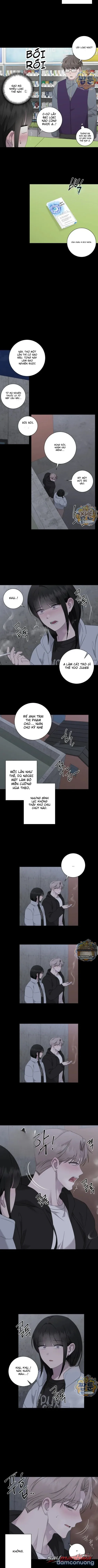 Chủ Nhân Của Jiwoo 