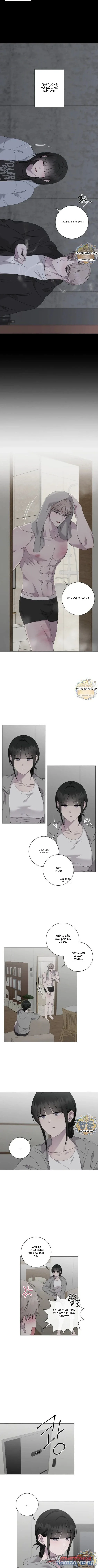 Chủ Nhân Của Jiwoo 
