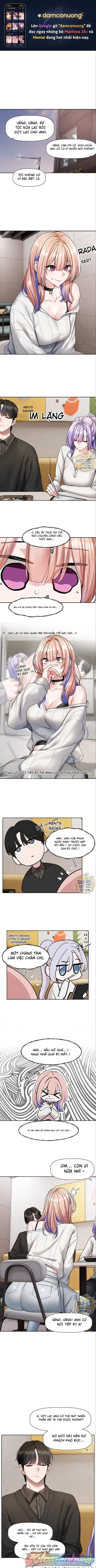 Love Quest 