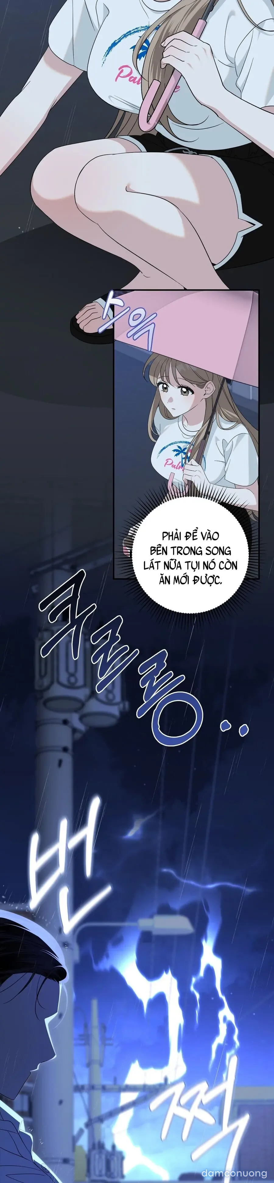 Đừng Nhặt Đàn Ông Về Nhà 