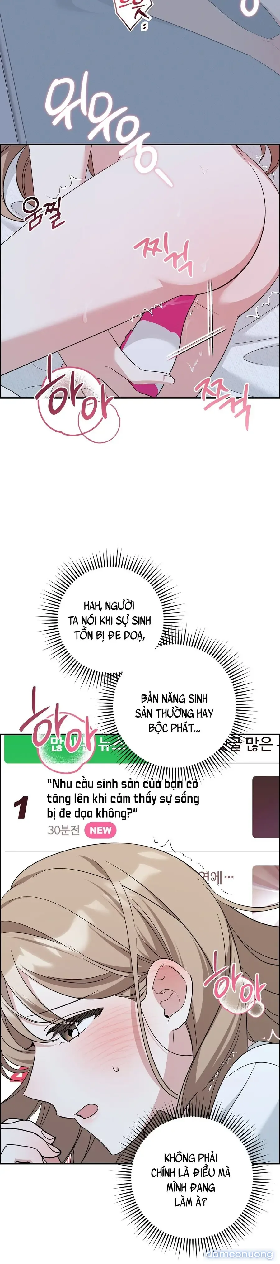 Đừng Nhặt Đàn Ông Về Nhà 