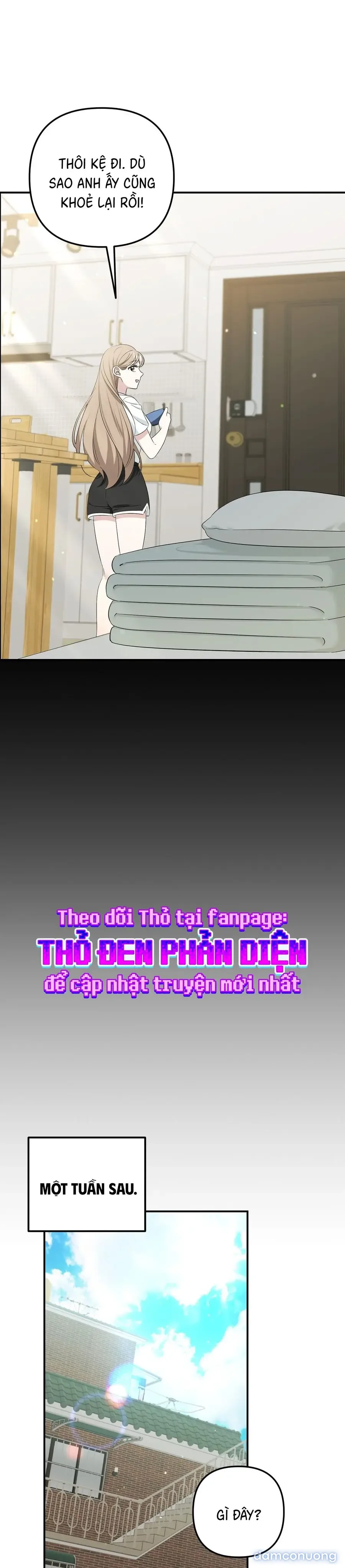 Đừng Nhặt Đàn Ông Về Nhà 