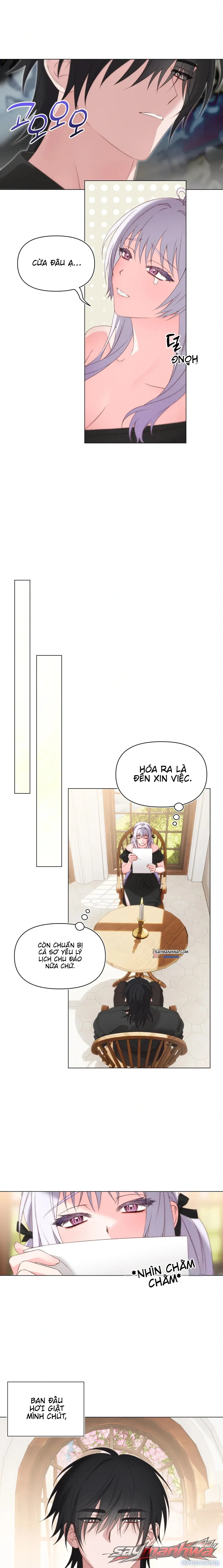 Cửa Hàng Đồ Chơi Người Lớn Của Phù Thủy 