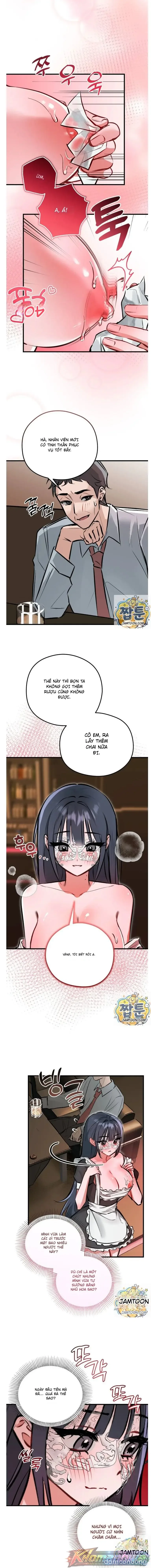 Thiên Đường Giải Trí 