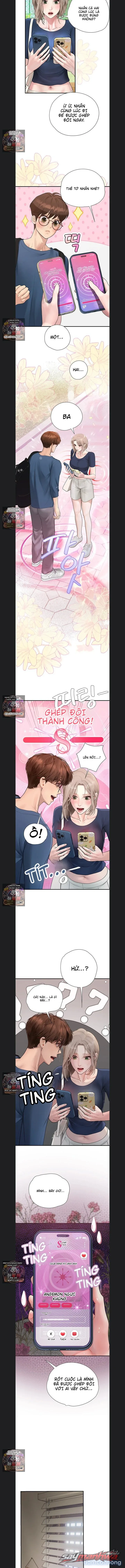 S-Matching: rung động 