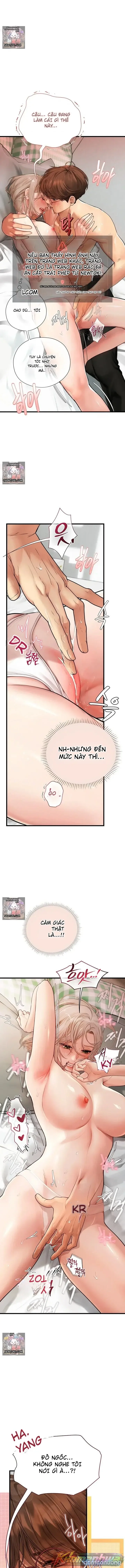 S-Matching: rung động 