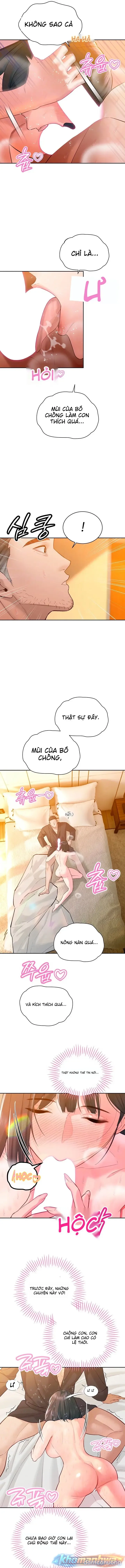 Bố chồng càn quét tất cả 